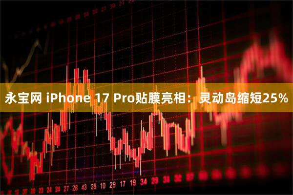 永宝网 iPhone 17 Pro贴膜亮相：灵动岛缩短25%