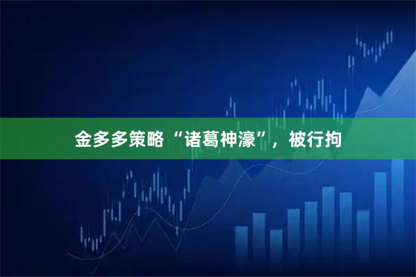 金多多策略 “诸葛神濠”，被行拘