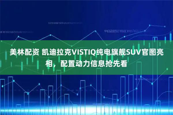 美林配资 凯迪拉克VISTIQ纯电旗舰SUV官图亮相，配置动力信息抢先看