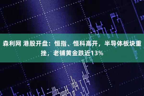 森利网 港股开盘：恒指、恒科高开，半导体板块重挫，老铺黄金跌近13%